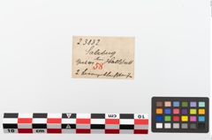 Etiketten zu Bronzegürtelblechfragment (NHMW-PRAE-023832)